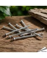 Baumfreundliche Aluminium-Nägel ✔️ Perfekt zum Aufhängen von Nistkästen, Vogelhäusern und anderen Dingen an einem Baum ✔️ Rostet nicht – schadet dem Baum nicht ✔️ Jetzt online bei Alles für Vögel kaufen