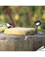Vegetarische Futterblöcke für Wildvögel ✔️ Keine tierischen Produkte - Rein pflanzlich ✔️ Ohne Palmöl ✔️ Nachhaltig, gesund und lecker ➤ Alles für Vögel