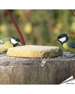 Vegetarische Futterblöcke für Wildvögel ✔️ Keine tierischen Produkte - Rein pflanzlich ✔️ Ohne Palmöl ✔️ Nachhaltig, gesund und lecker ➤ Alles für Vögel