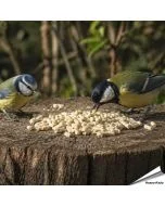 Vegetarische Fett-Leckerbissen mit Erdnüssen für Vögel ✔️ Keine tierischen Produkte - Rein pflanzlich ✔️ Ohne Palmöl - Nachhaltig ➤ Kaufe Aniculis Vogelfutter bei Alles für Vögel