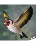 Stieglitz fliegend (Carduelis carduelis) | Dekoration Vogel