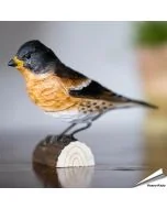 Handgeschnitzter Bergfink in Naturgrösse ✔️ Mit Farben naturgetreu bemalt ✔️ Originelles Geschenk für Vogel- und Naturliebhaber ➤ www.allesfuervoegel.de