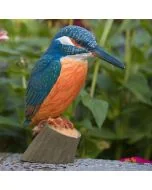 Handgeschnitzter Eisvogel in Naturgrösse ✓ Mit ungiftigen Farben naturgetreu bemalt ✓ Originelles Geschenk für Vogel- und Naturliebhaber ✓ Alles für Vögel