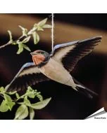 Handgeschnitzte, fliegende Rauchschwalbe in Naturgrösse ✓ Mit Farben naturgetreu bemalt ✓ Originelles Geschenk für Vogel- und Naturliebhaber ✓ Alles für Vögel