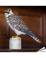 Realistischer, handgeschnitzter Merlin (Raubvogel) ✔️ Mit Farben naturgetreu bemalt ✔️ Originelles Geschenk für Vogel- und Naturliebhaber ✔️ Kaufe online bei Alles für Vögel