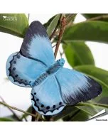 DecoButterfly Faulbaum-Bläuling von Wildlife Garden. Handgeschnitzter Holzmagnet mit kräftig blauen Flügeln, dunklen Spitzen und Metalldraht.