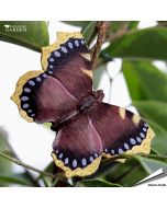 DecoButterfly Trauermantel von Wildlife Garden. Handgeschnitzter Holzmagnet mit dunklen Flügeln, gelbem Rand und blauvioletten Details.