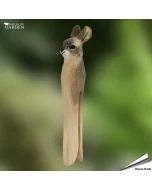 DecoClip - Wäscheklammer Kaninchen von Wildlife Garden aus Holz. Handgeschnitzter Tierkopf mit langen Ohren. Ca. 19 x 23 x 110 mm.
