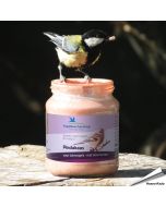 Spezielle Erdnussbutter für Wildvögel - Waldbeeren ✔️ Kein Salz hinzugefügt ✔️ LBV / NABU ✔️ Kalorienreiche Köstlichkeit für Gartenvögel ➤ Bestellen auf www.allesfuervoegel.de