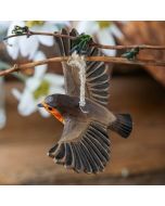 Handgeschnitztes fliegendes Rotkehlchen aus Lindenholz mit Hanfband. Naturgetreu bemalte Weihnachts- und Innendekoration von Wildlife Garden.