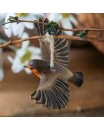 Handgeschnitztes fliegendes Rotkehlchen aus Holz mit Hanfband. Naturgetreu bemalte Weihnachts- und Innendekoration von Wildlife Garden.