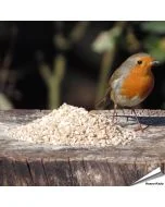 Hochwertiges Wildvogelfutter speziell für kleine Vogelarten ✔️ Mit Sonnenblumenkernen und gehackten Erdnüssen ✔️ Ganzjährig füttern ➤ Bestelle bei www.allesfuervoegel.de