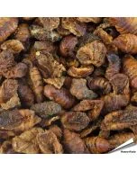 Getrocknete Seidenraupen für Tiere ✔️ Ergänzungsfutter für Wildvögel, Hühner, Fische, Schildkröten etc. ✔️ Extrem proteinreich ➤ Bestelle online bei Alles für Vögel