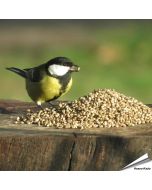 Hanfsamen für Wildvögel online kaufen? www.allesfuervoegel.de