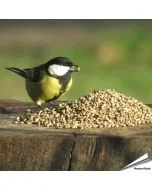 Hanfsamen für Wildvögel online kaufen? www.allesfuervoegel.de