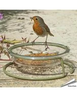 Grundfuttertisch für Rotkehlchen & Co. | Alles für Vögel