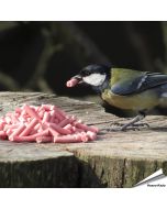 Leckerbissen mit Beeren für Wildvögel - www.allesfuervoegel.de