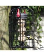 Robuster Meisenknödelhalter mit Schutzkorb für kleine Gartenvögel. Hält Eichhörnchen und große Vögel fern und bietet Platz für bis zu 3 Meisenknödel.
