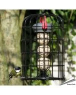 Meisenknödelhalter mit Schutzkorb & Premium - Insektenfettknödel (8 x 90g)