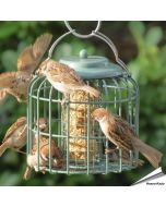 Ovale Futtersäule in Meergrün mit Schutzkäfig – Futterspender für Meisenknödel oder Energieblöcke, geeignet für kleine Wildvögel - Alles für Vögel