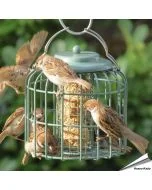 Ovale Futtersäule in Meergrün mit Schutzkäfig – Futterspender für Meisenknödel oder Energieblöcke, geeignet für kleine Wildvögel - Alles für Vögel