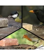 MIXPack XL - Energieblöcke Beeren, Insekten und Mehlwürmer (24 x 280g)