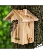 Nistkasten Anson aus Holz ✔️ 34 mmEinflugöffnung für Spatzen & Co. ✔️ FSC 100% Holz ✔️ Mit praktischer Seitenklappe ➤ Jetzt bei Alles für Vögel entdecken
