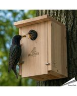 Robuster, artgerechter Nistkasten für Stare und Buntspechte ✔️ Einflugöffnung 45mm ✔️ Verschraubtes Massiv-Holz nach NABU ➤ Kaufe bei Alles für Vögel