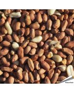 Hochwertige Erdnüsse, speziell für Wildvögel - www.allesfuervoegel.de