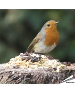 Premium - Fettfutter für Gartenvögel (1 kg)