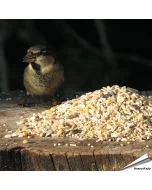 Premium Futtersäulen-Mix für Wildvögel mit Anissamen - www.allesfuervoegel.de
