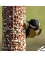 Erdnüsse gemengt mit Fett-Leckerbissen ✔️ Energie- und proteinreiches Wildvogelfutter für Erdnusssäulen ✔️ Ganzjährig Wildvögel füttern ➤ Kaufen bei Alles für Vögel