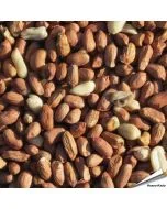 Premium Erdnüsse (1 kg)