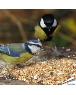 Aniculis Premium Wildvogel-Samenmischung