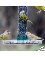 Ring-Pull - MINI Auffangschale für Futtersäulen (215mm)