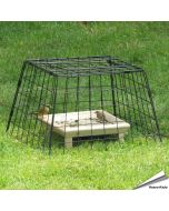 Schutzkäfig für Grundfuttertische (schwarz) - Alles für Vögel