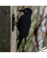 Schattenriss - Specht