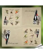 Hochwertige 3-lagige Servietten mit Vogelmotiv ✔️ Bringe die Natur auf den Tisch ✔️ FSC-zertifiziert, biologisch abbaubar ➤ Bestelle bei Alles für Vögel