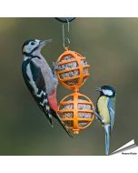 Robuster, doppelter Meisenknödelhalter für Gartenvögel ✔️ Einfach zu befüllen & aufzuhängen ✔️ Für Meisenknödel ohne Netz ➤ Bestelle bei Alles für Vögel