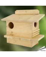Eichhörnchen-Wohnhaus "Natuurmonumenten"