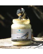 Spezielle NABU / LBV Erdnussbutter für Wildvögel im Glas ➤ Bestellen bei Alles für Vögel