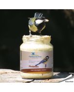 Spezielle Erdnussbutter für Wildvögel - Original ✔️ Kein Salz hinzugefügt ✔️ Empfohlen von NABU / LBV ✔️ Kalorienreiche Köstlichkeit für Gartenvögel  ➤ Online bestellen auf www.allesfuervoegel.de