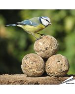 Insektenfett-Meisenknödel ✔️ Energie- und proteinreiche Futterknödel ohne Netz ✔️ Hoher Fettgehalt ✔️ Ganzjährig zu verwenden ➤ Online kaufen bei Alles für Vögel