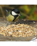 Premium-Samenmischung für Gartenvögel ✔️ Mit sorgfältig ausgewählten Samen und Getreide ✔️ Perfekt für die ganzjährige Fütterung ➤ Online kaufen auf www.allesfuervoegel.de