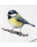 Servietten - Kohlmeise - Motiv | 20 Stück | Alles für Vögel