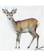 Servietten - Reh-Motiv | 20 Stück | Alles für Vögel