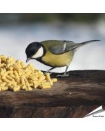 Traktatie met insecten (550g in zak)