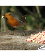 Energiereicher Leckerbissen-Mix für Gartenvögel ✓ Mit Insekten- und Beerenpellets ✓ Premium Qualität ✓ Ganzjährige Fütterung von Wildvögel ✓ kaufe bei Alles für Vögel