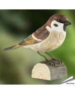 DecoBird Feldsperling (Passer montanus) | Handgeschnitzter Holzvogel