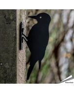 Schattenriss - Specht